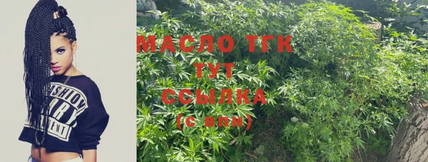 тгк Абаза