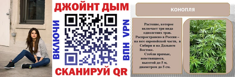 Конопля индика  Ясный 